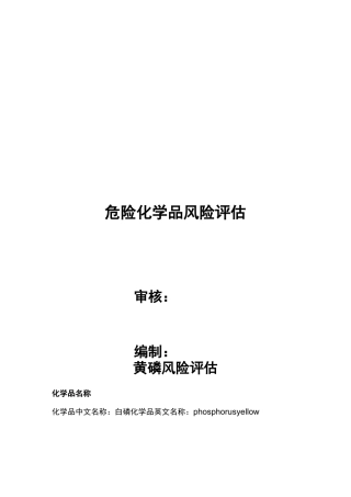 危险化学品风险评估