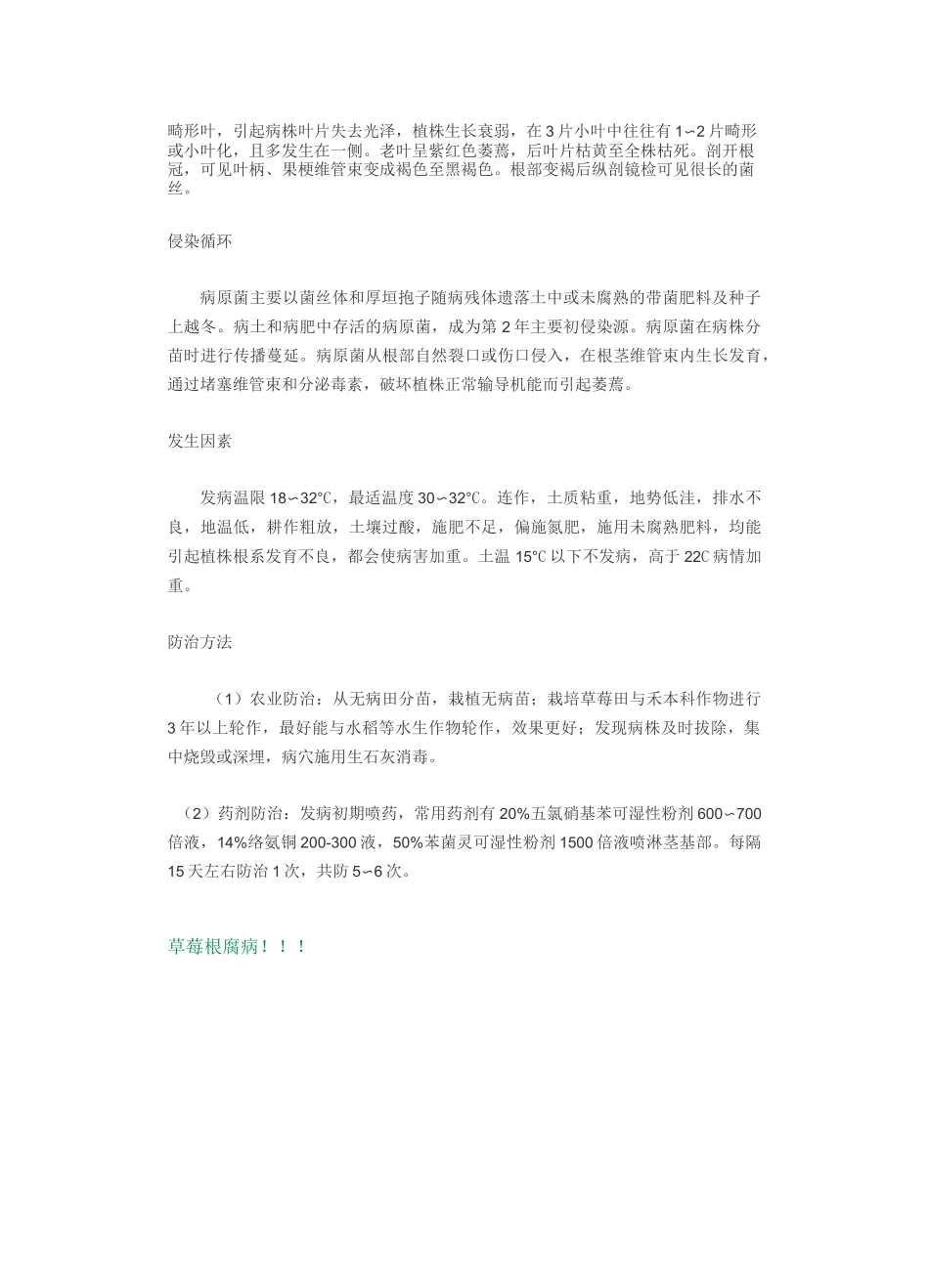 草莓病害大全高清_第3页