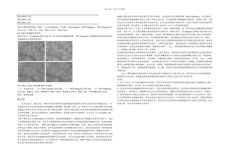BB外周血单核细胞对人类白血病U细胞的_第3页