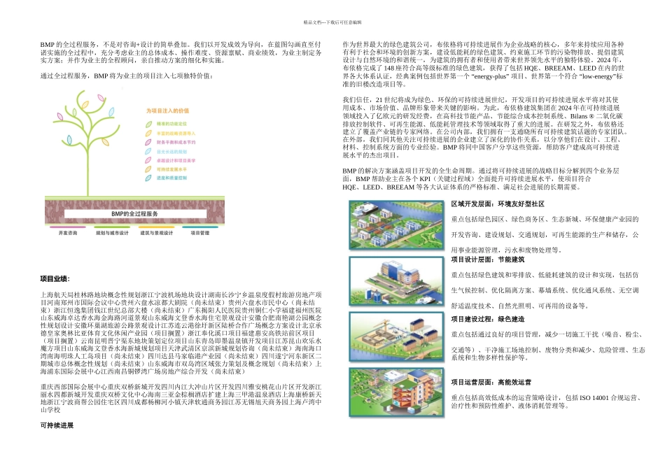 BMP柏盟项目咨询_第3页