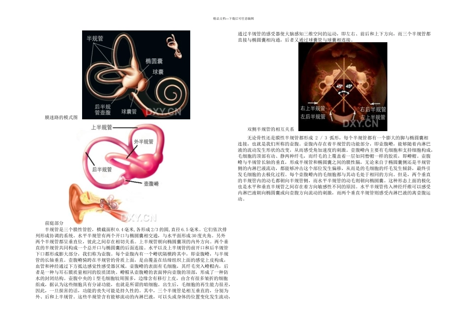 BPPV的最全面讲解_第1页