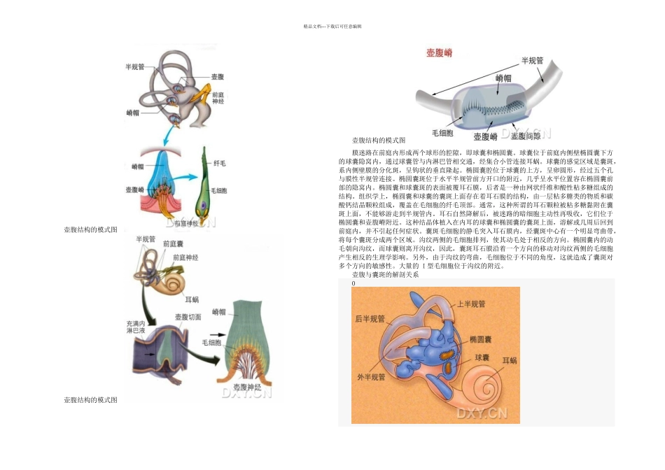 BPPV的最全面讲解_第2页