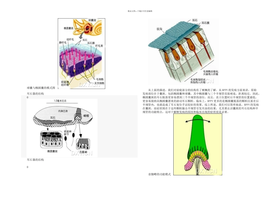 BPPV的最全面讲解_第3页