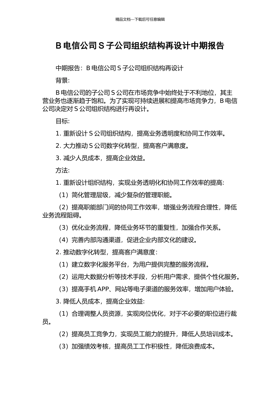B电信公司S子公司组织结构再设计中期报告_第1页