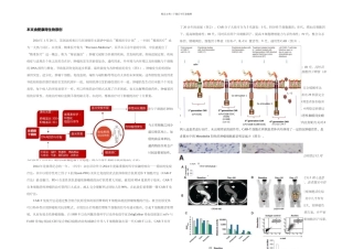 CART技术与肿瘤精准免疫治疗