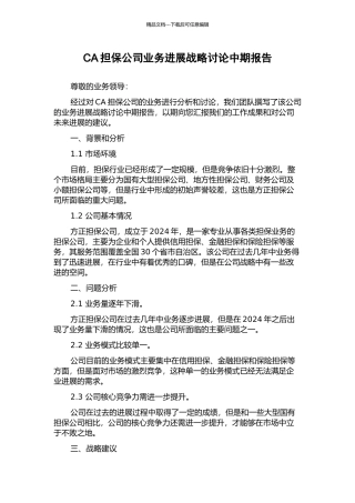 CA担保公司业务发展战略研究中期报告