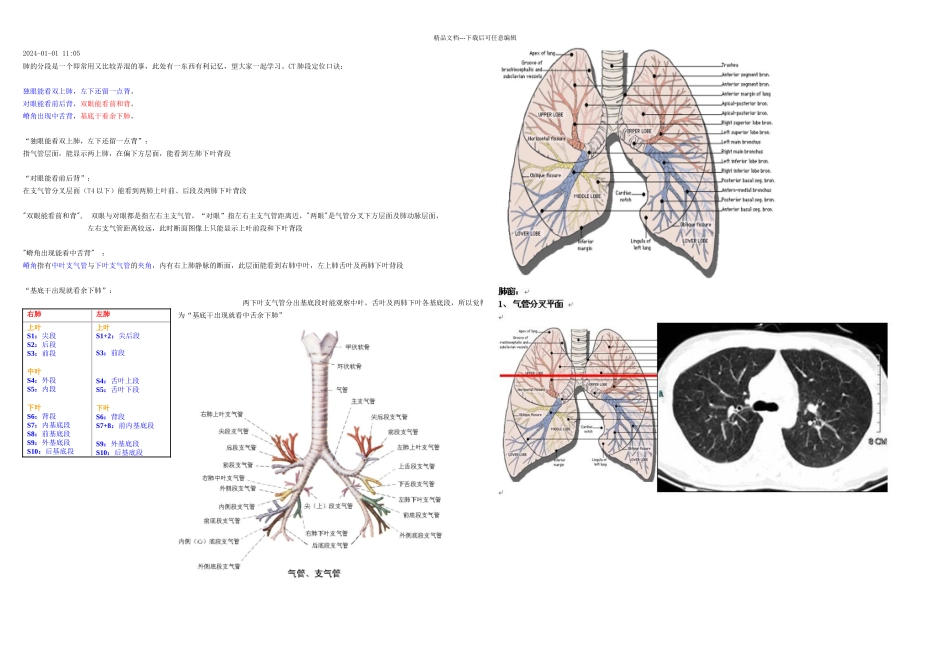 CT口诀肺的分段_第1页
