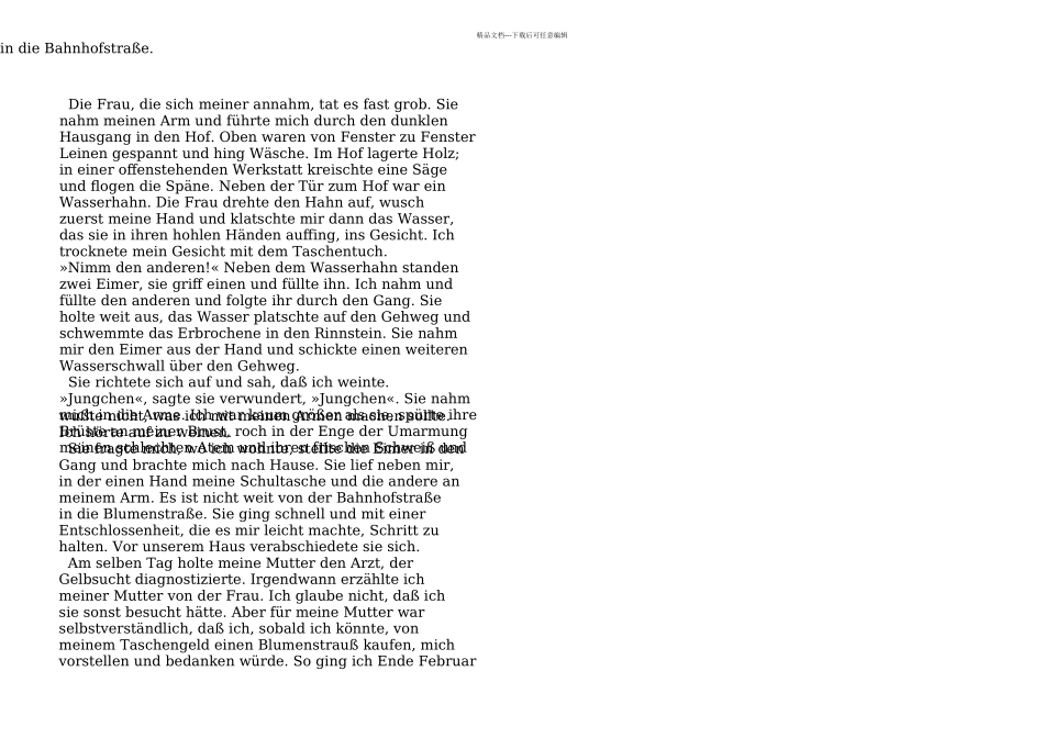 derVorleser朗读者德文原手打_第3页