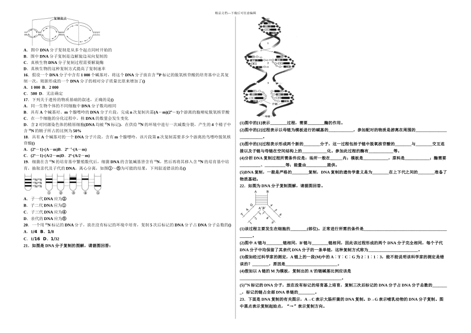 DNA的复制练习题_第2页