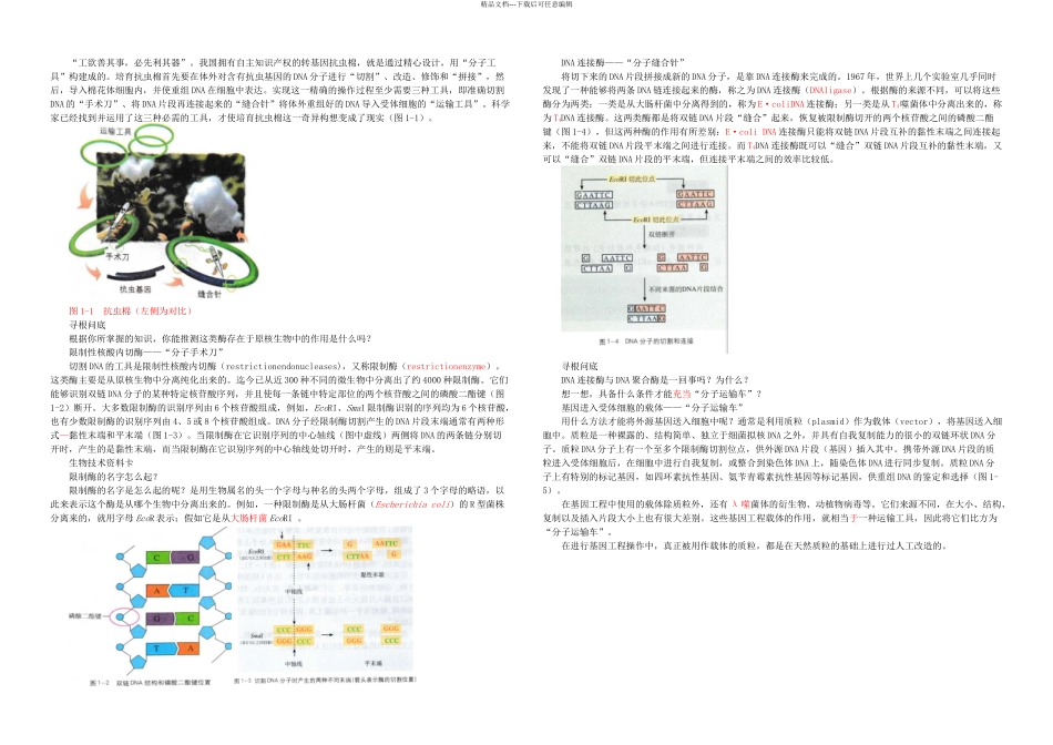 DNA重组技术的基本工具_第1页