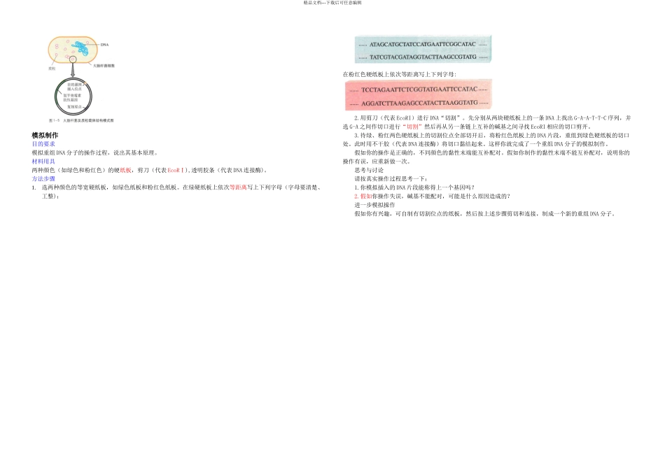 DNA重组技术的基本工具_第2页