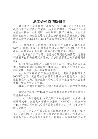 总工会检查情况报告