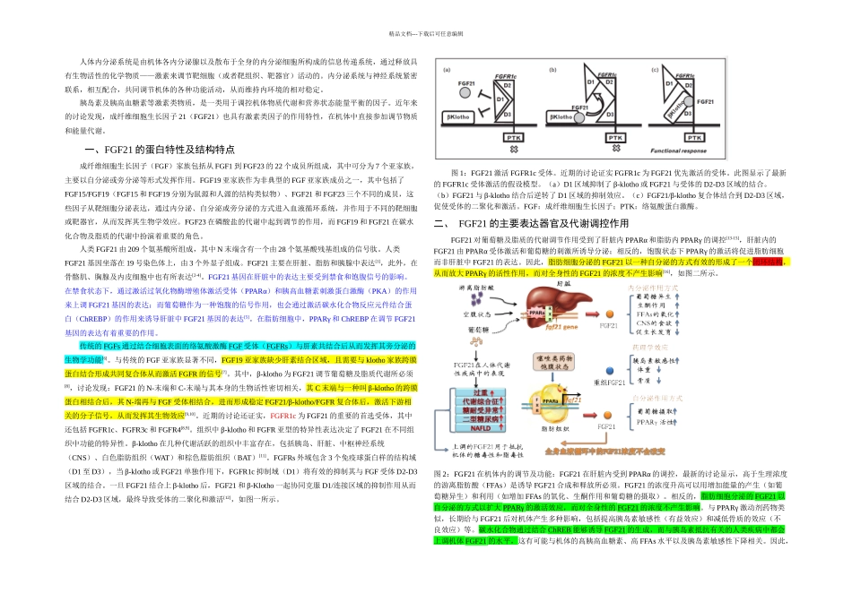FGF与内分泌代谢性疾病_第1页