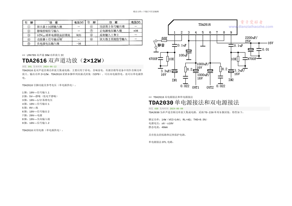 FS音频功率放大集成电路_第3页