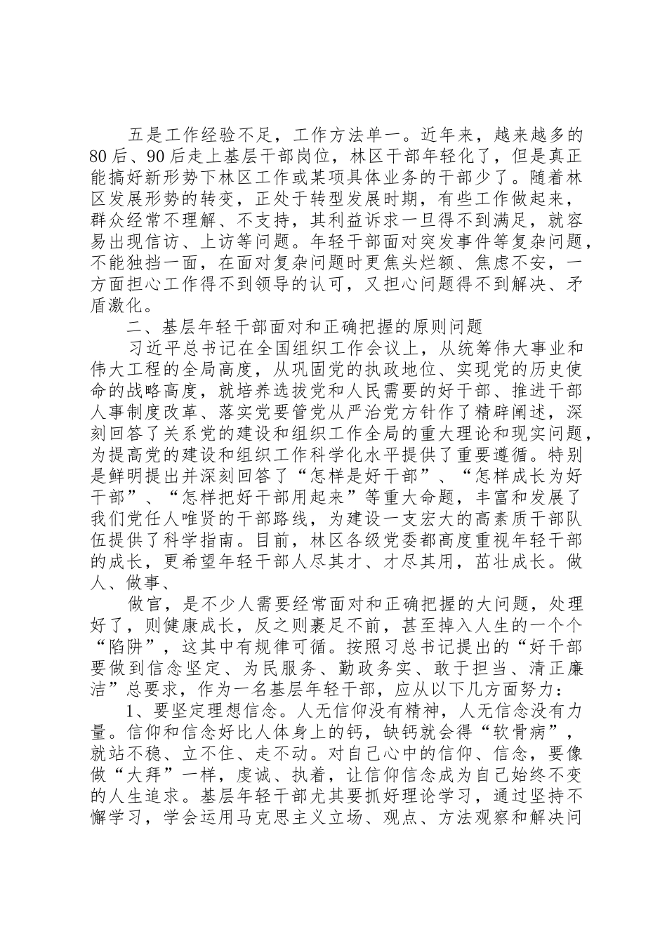 XX民族地区忠诚干净担当的高素质干部队伍建设经验做法_第3页