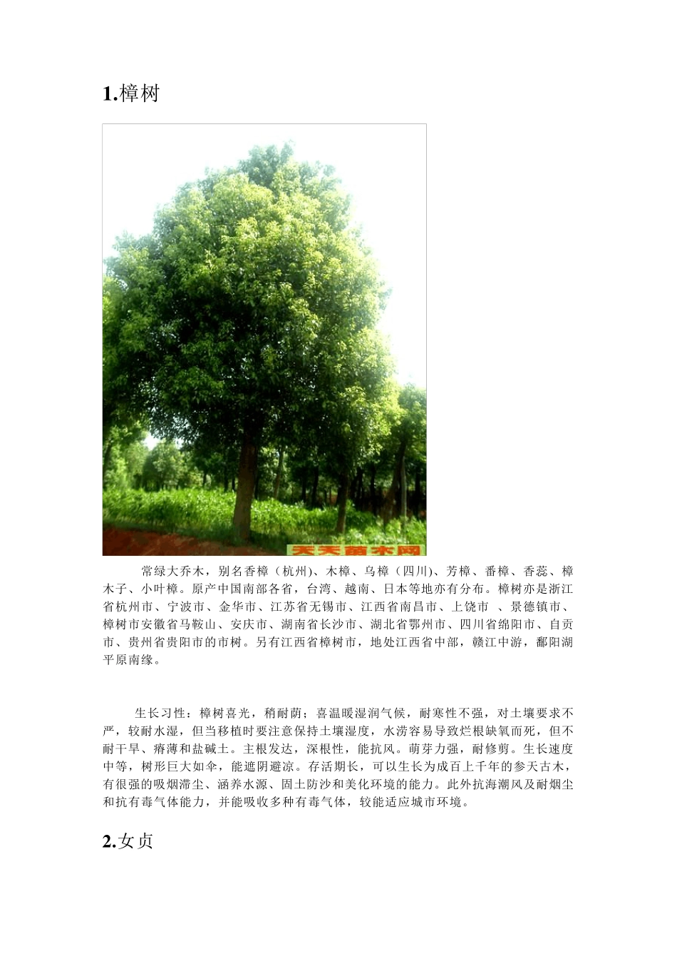 华东地区常见景观乔灌木及生长习性_第1页