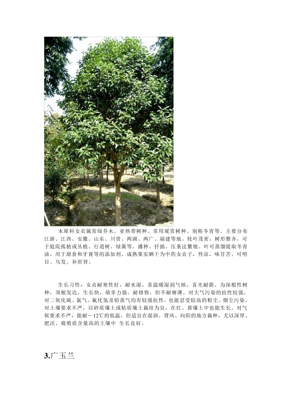 华东地区常见景观乔灌木及生长习性_第2页