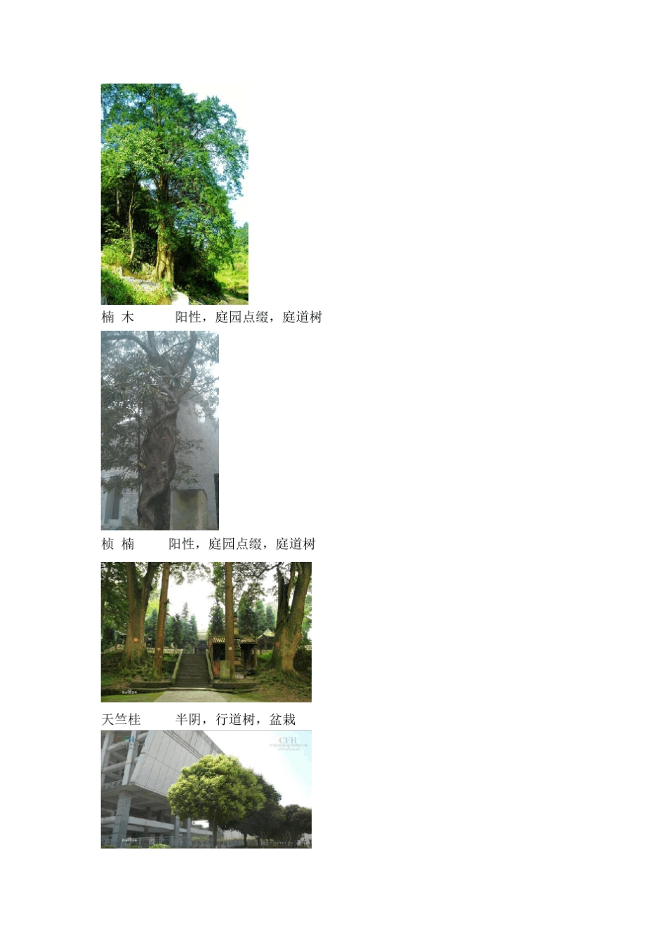 华中地区常用园林植物及图例_第2页