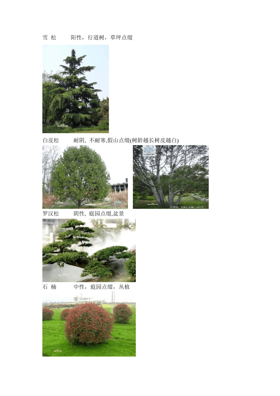 华中地区常用园林植物及图例_第3页