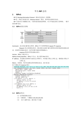 华为RIP总结