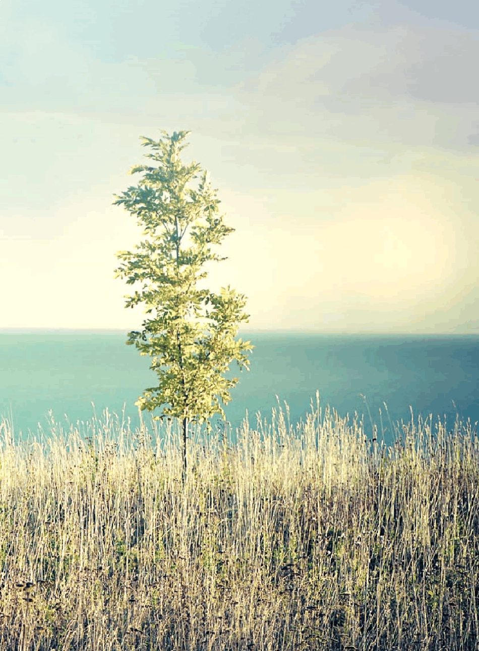 华为S5700LI交换机详版彩页_第2页