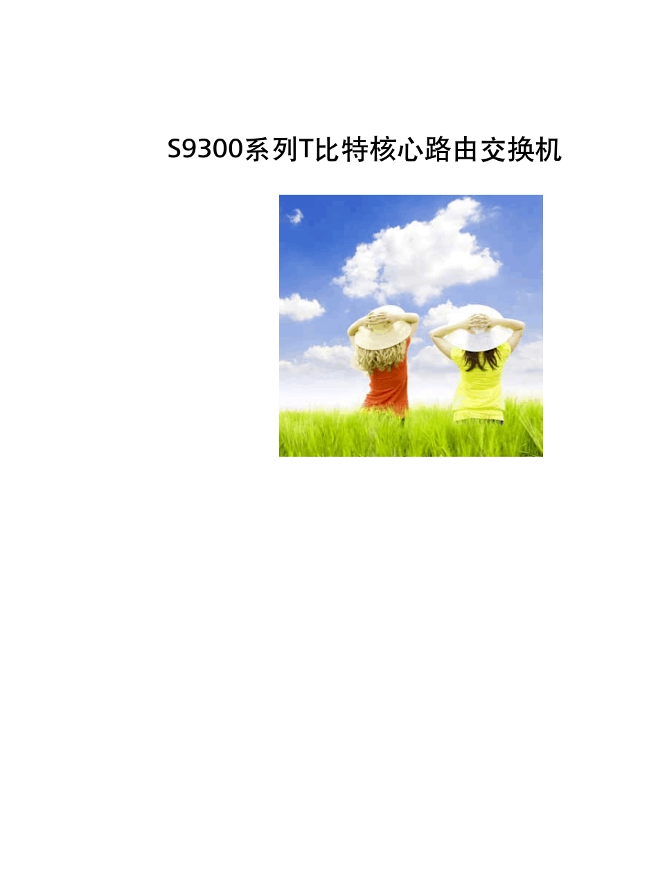 华为S9300交换机_第1页