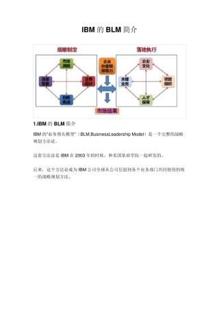 华为引进的IBMBLM模型