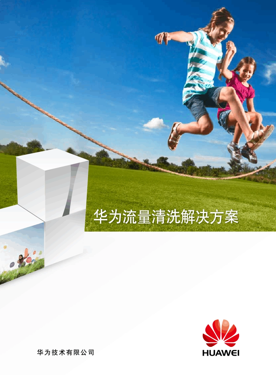 华为流量清洗解决方案彩页_第1页