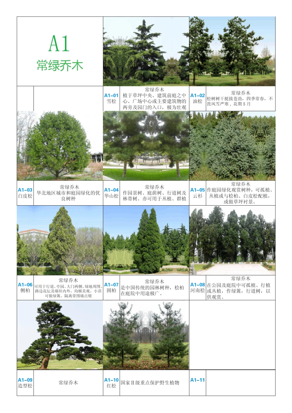 华北地区园林植物图集_第2页