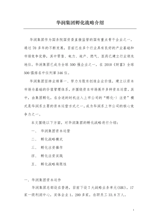 华润集团孵化战略介绍