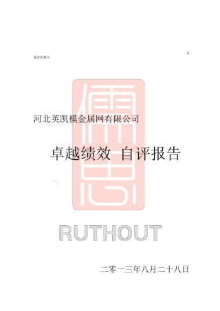 卓越绩效自评报告