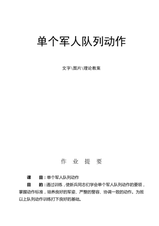 单个军人队列动作