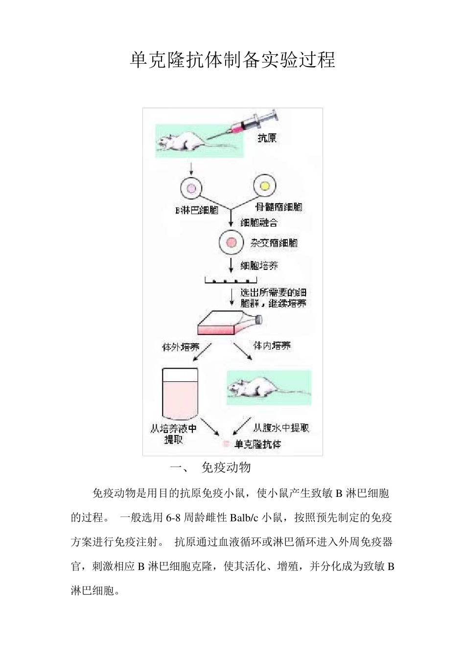 单克隆抗体制备实验过程_第1页