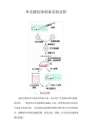 单克隆抗体制备实验过程