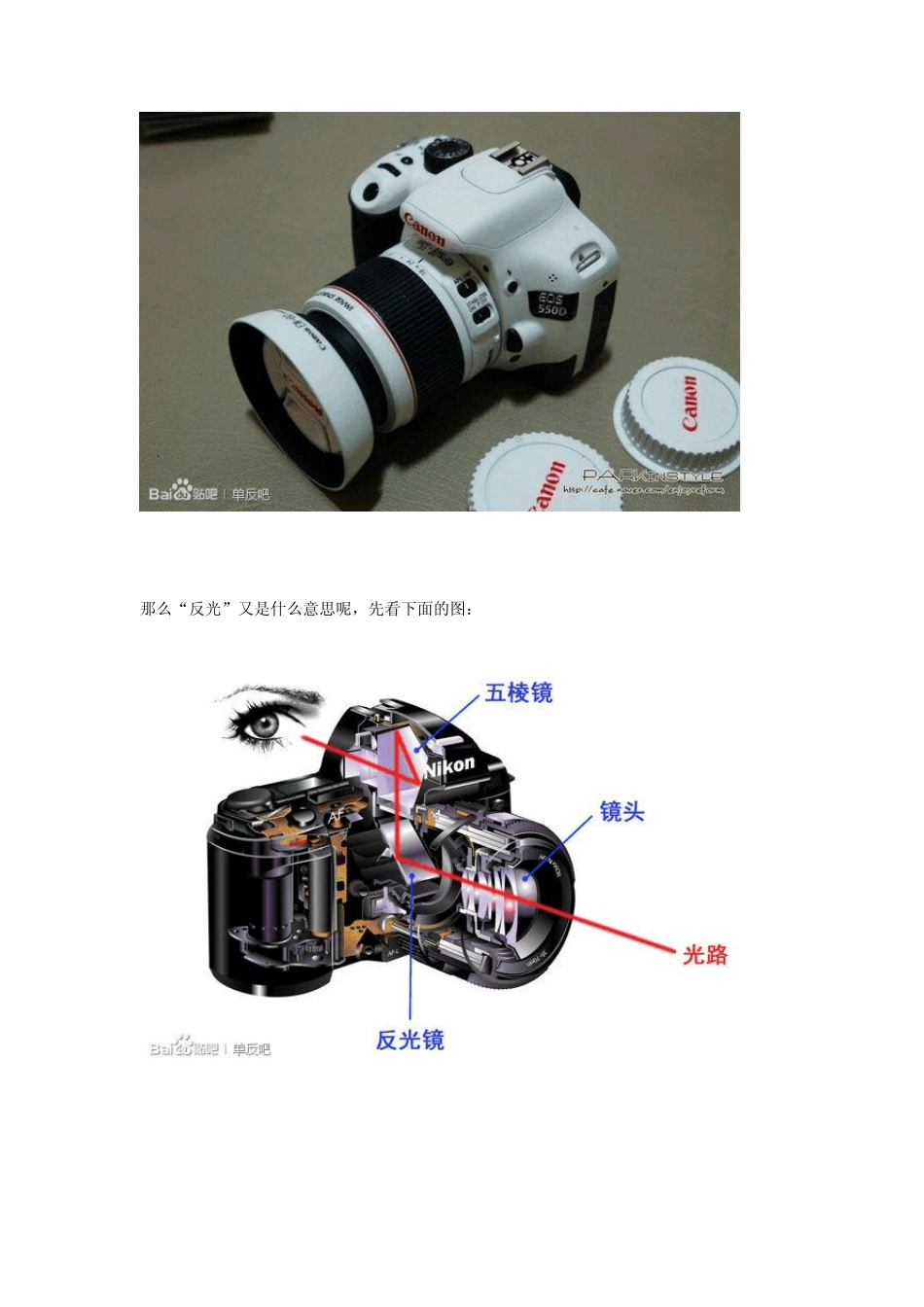 单反摄影基础教程+新手购机指南_第3页