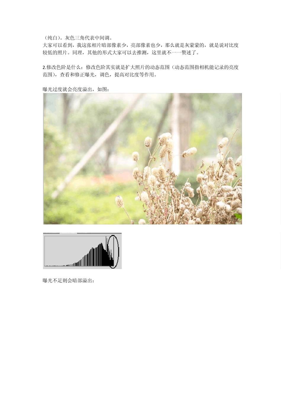 单反后期处理教程——色阶_第2页