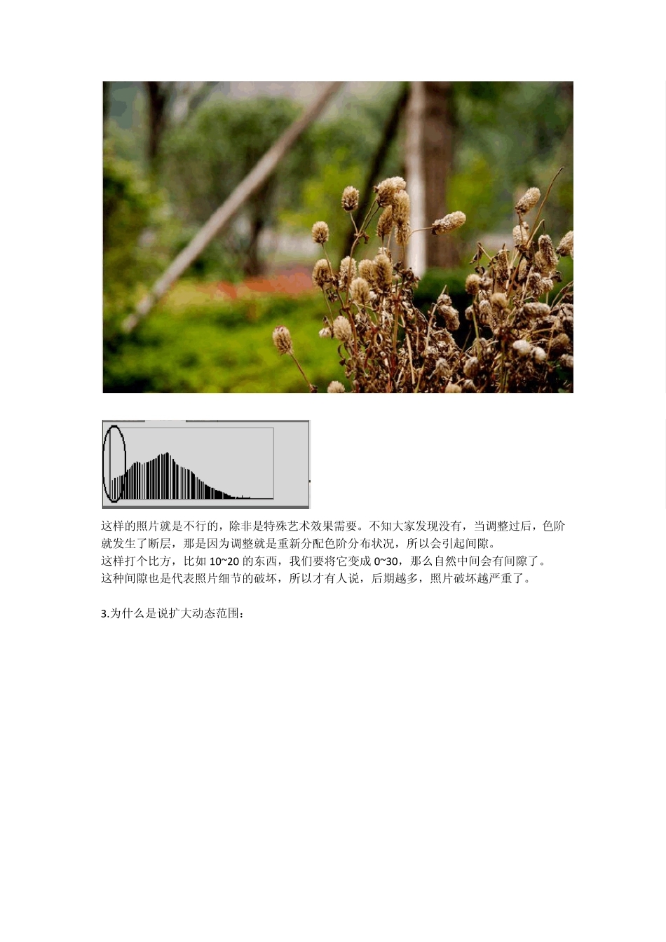 单反后期处理教程——色阶_第3页