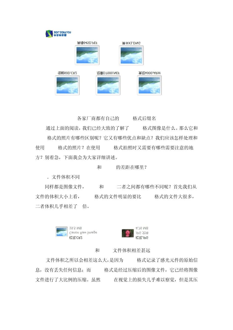 单反相机使用技巧4—单反相机RAW格式介绍_第2页