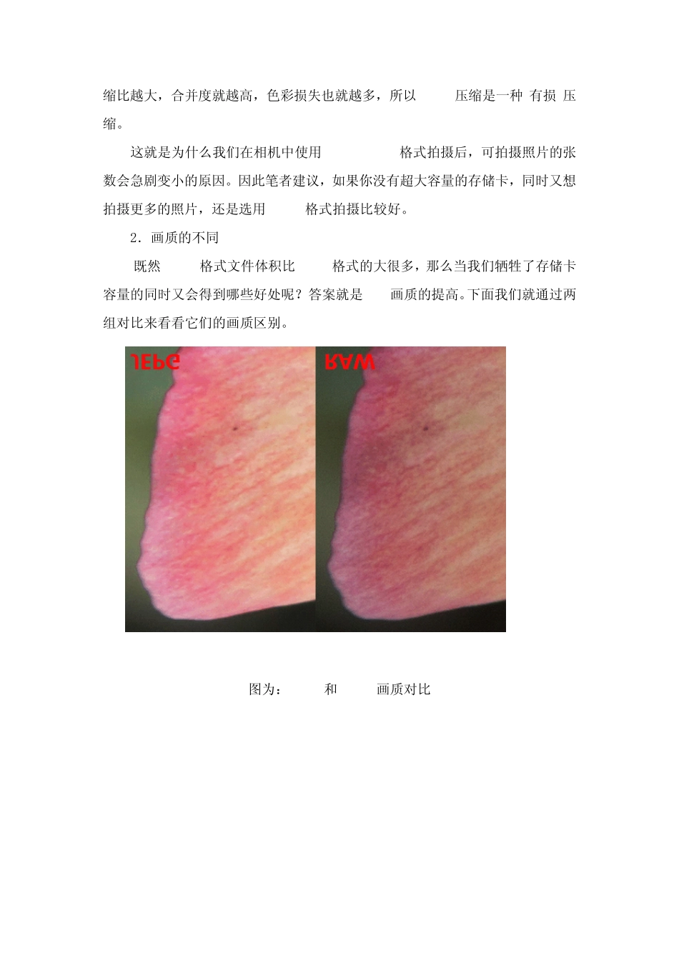 单反相机使用技巧4—单反相机RAW格式介绍_第3页