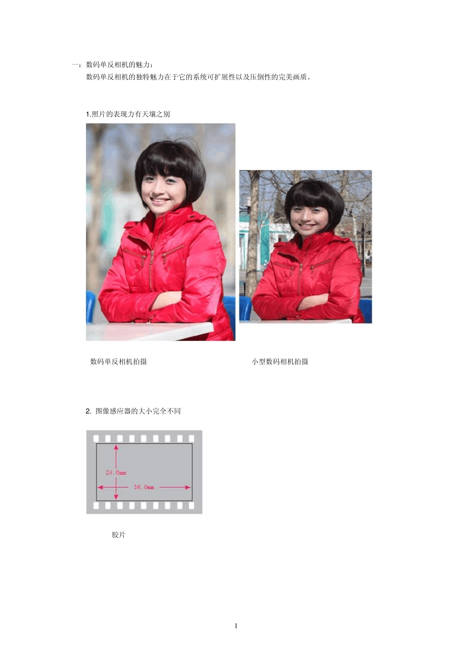 单反相机入门到熟练使用_第1页