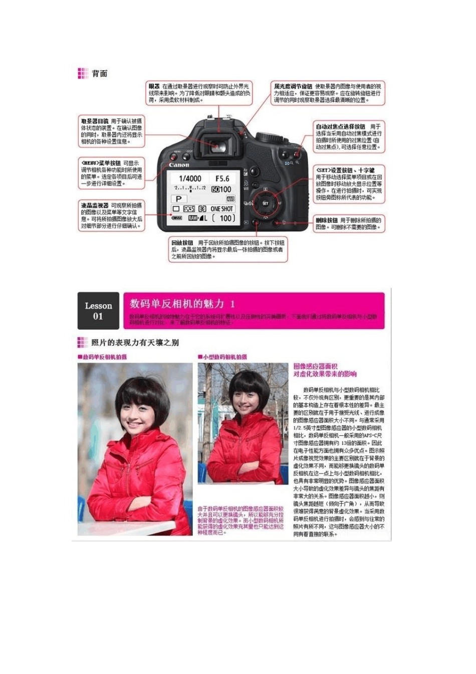 单反相机入门教程相机基本知识_第2页