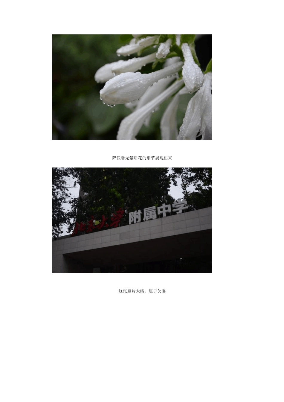 单反相机怎样正确曝光_第3页