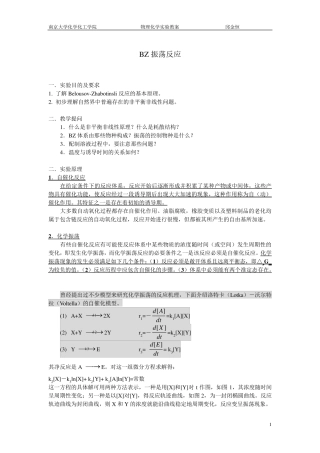 南京大学物化实验系列BZ振荡反应