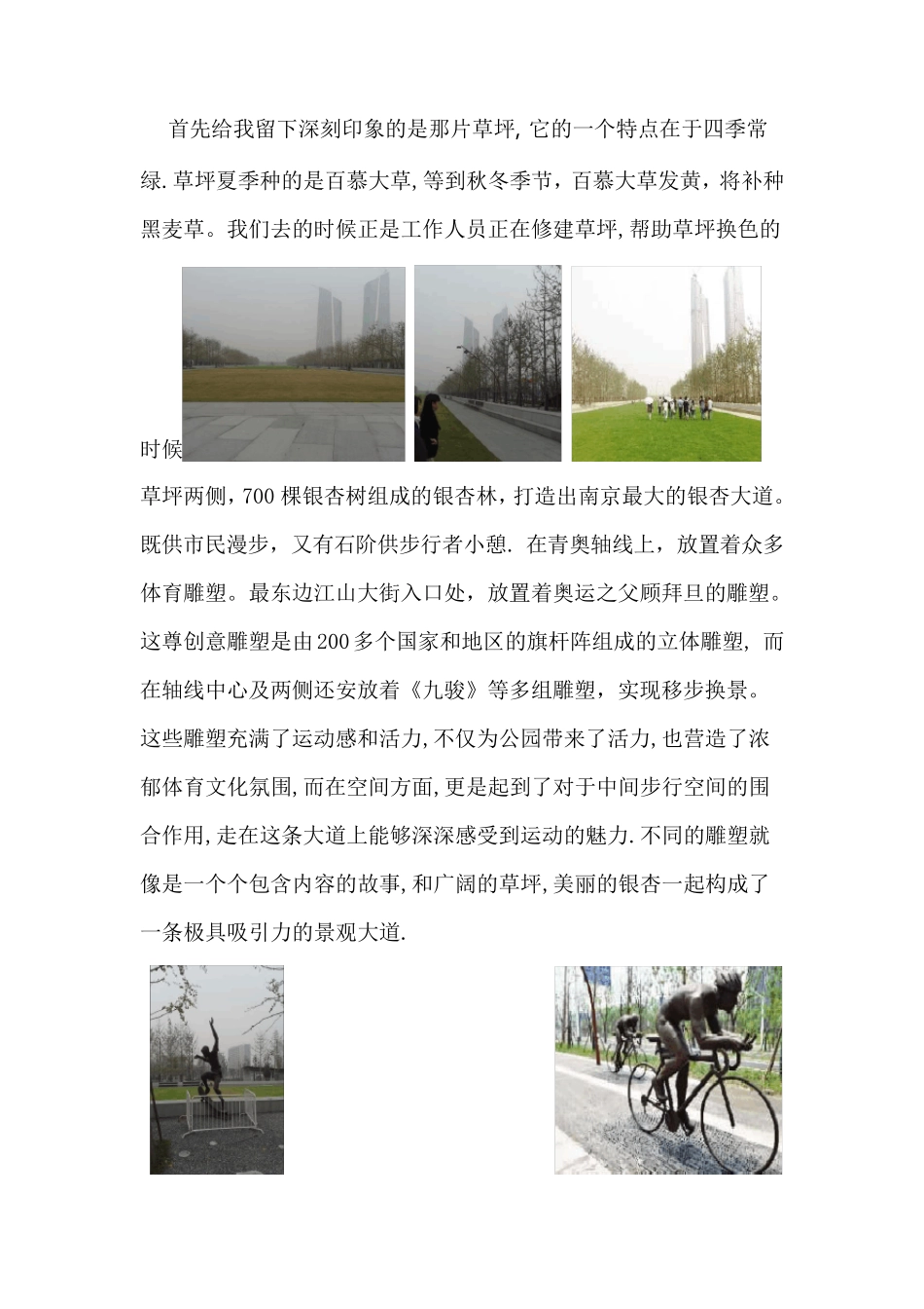 南京青奥体育文化公园景观分析_第3页