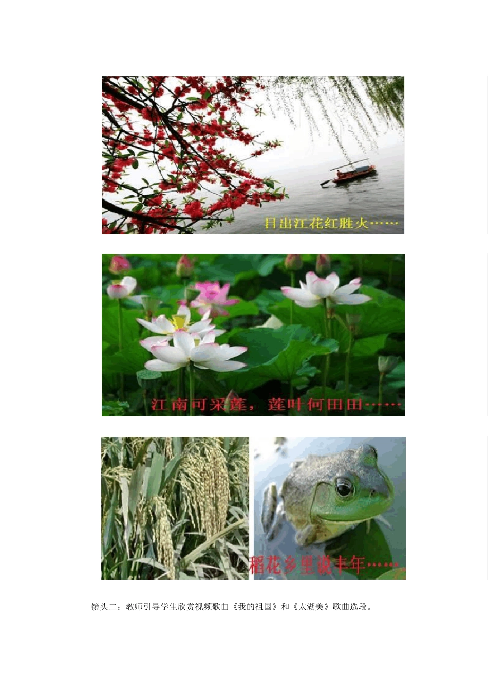 南方地区的自然特征与农业_第3页