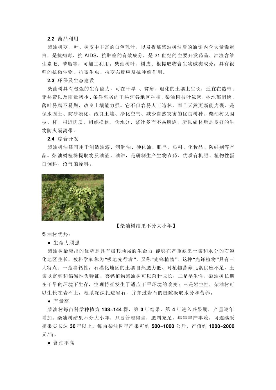 南方岭南一带的挣钱树：柴油树_第2页