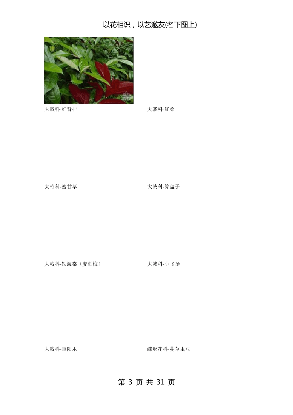 南方常见植物图谱_第3页