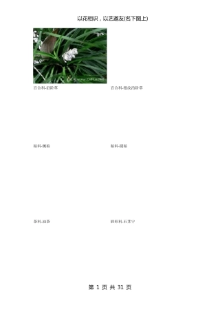 南方常见植物图谱