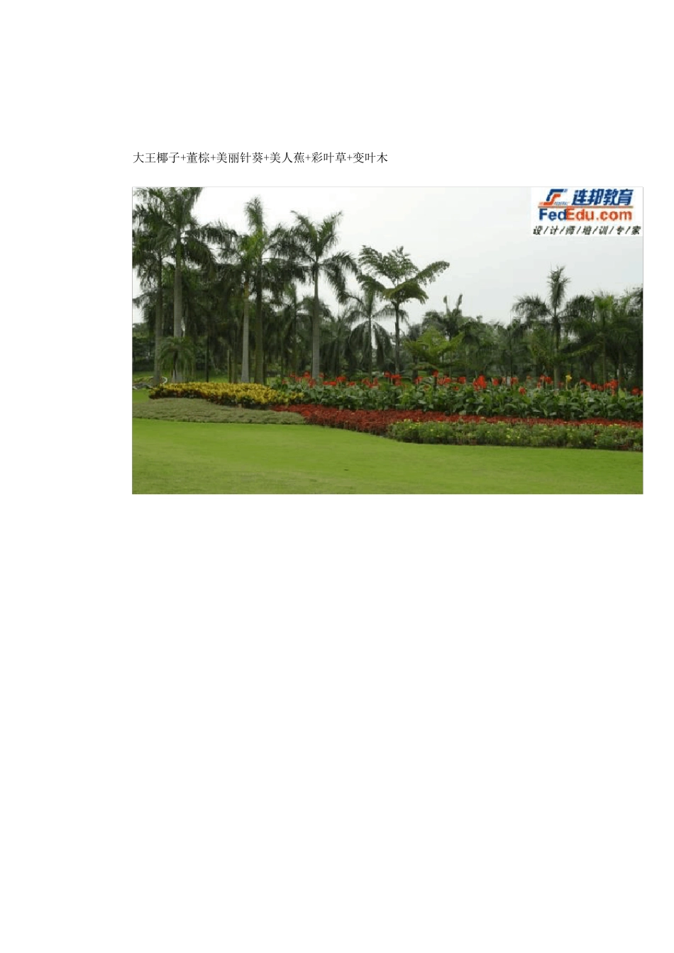 南方植物配置实例_第3页