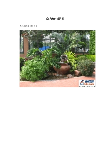 南方植物配置实例